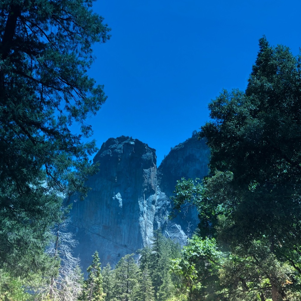 Meet your Posher, Mc